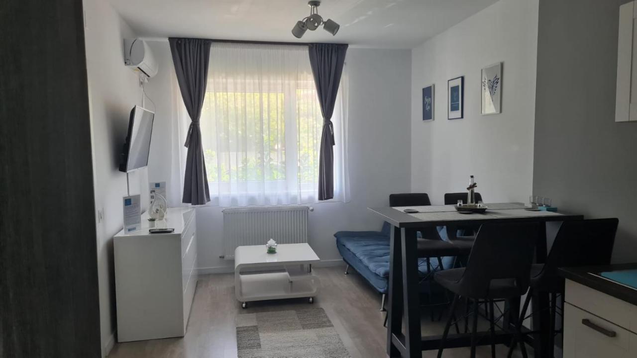 Phoenix Luxury Apartment Nagyvárad Kültér fotó