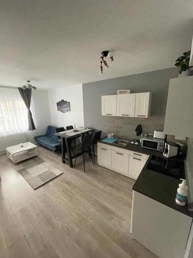 Phoenix Luxury Apartment Nagyvárad Kültér fotó