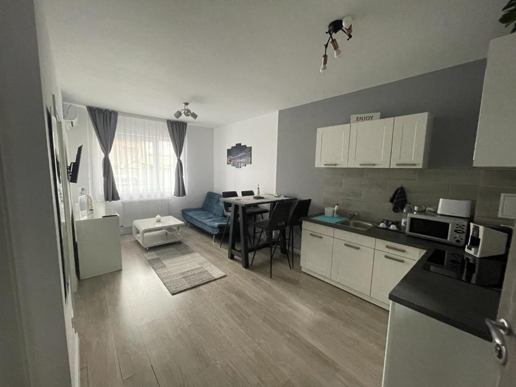 Phoenix Luxury Apartment Nagyvárad Kültér fotó